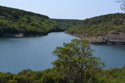Sinop