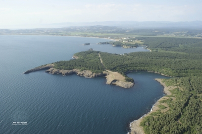 Sinop