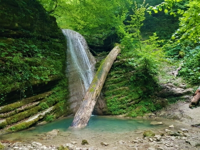 Sinop
